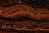 Polished Tiger Iron Stromatolite Slab - Billion Years #162090-1